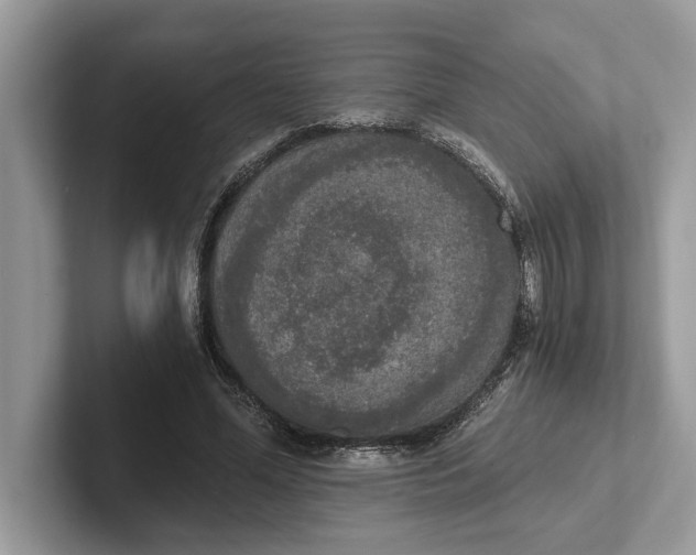 X0000101460588200807211335