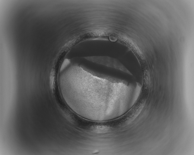 X0000101460590200807211335