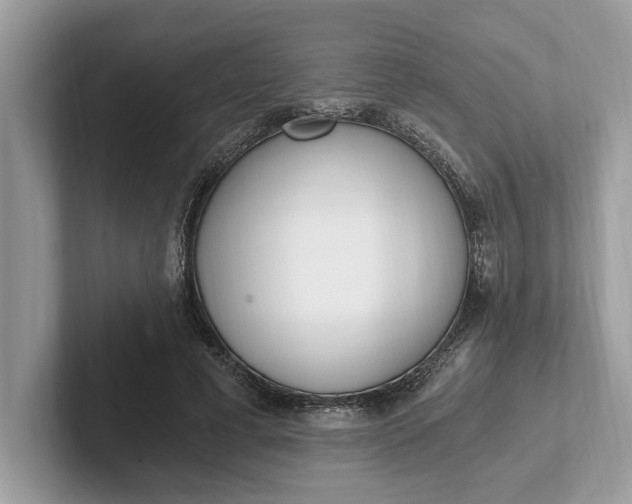 X0000101460593200807211335