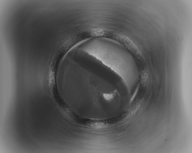 X0000101460598200807211335