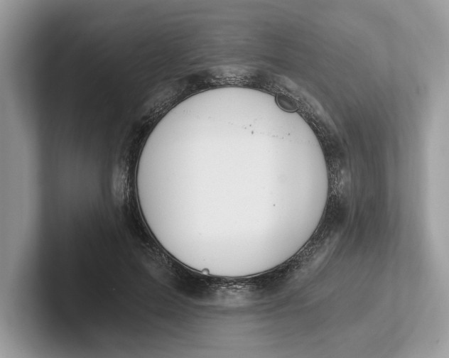 X0000101460599200807211335