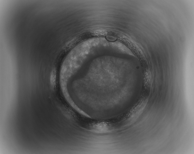 X0000101460600200807211335