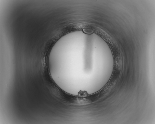 X0000101460605200807211335