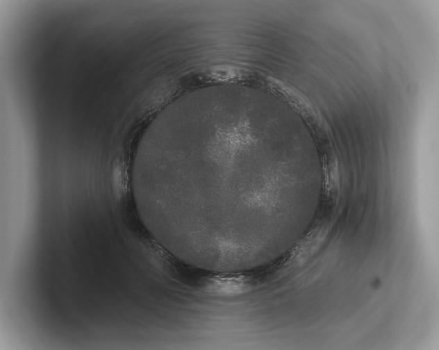 X0000101460606200807211335