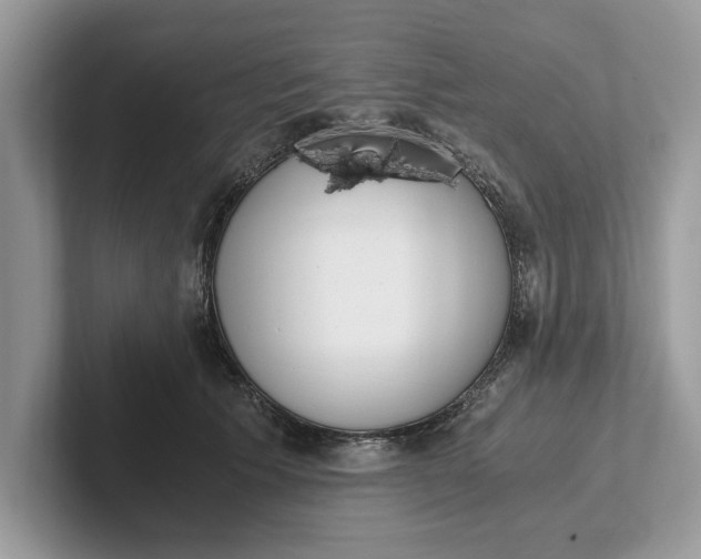 X0000101460609200807211335