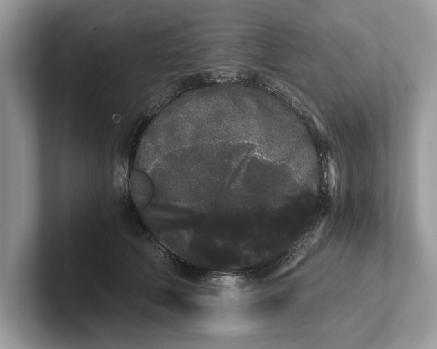 X0000101460610200807211335