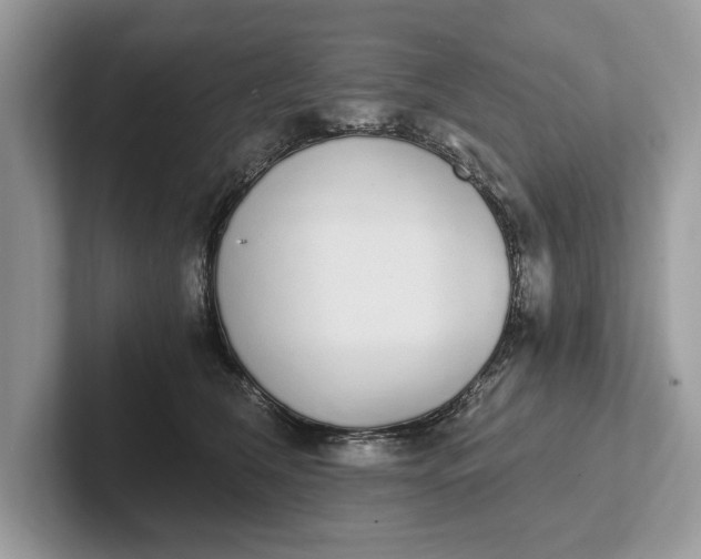 X0000101460612200807211335