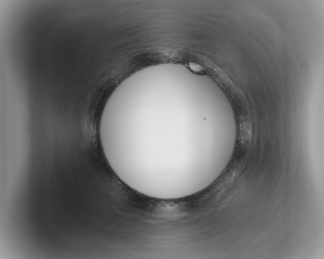 X0000101460613200807211335