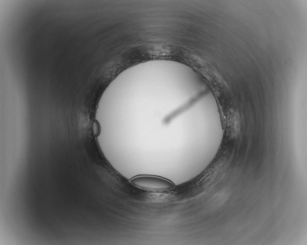 X0000101460614200807211335