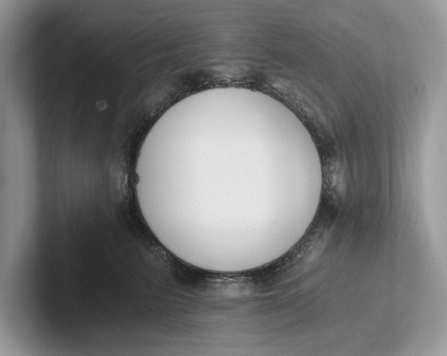 X0000101460615200807211335