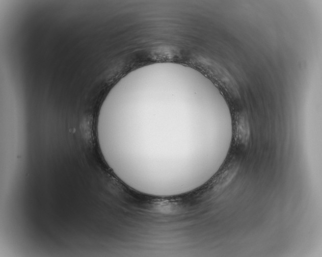 X0000101460616200807211335