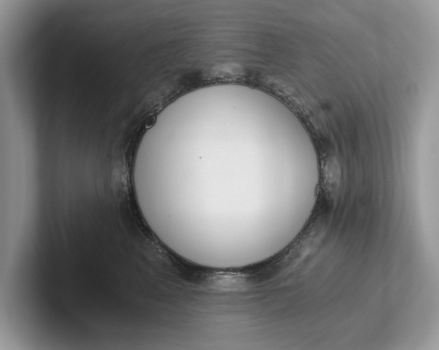 X0000101460617200807211335