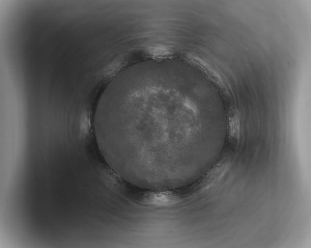 X0000101460618200807211334