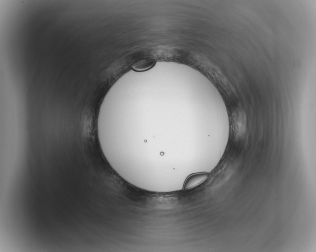 X0000101460619200807211334