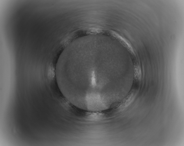 X0000101460621200807211334