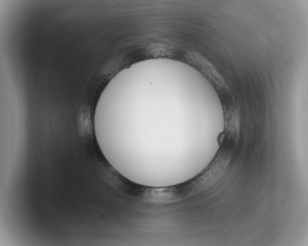 X0000101460622200807211334