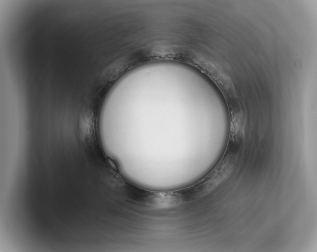 X0000101460623200807211334