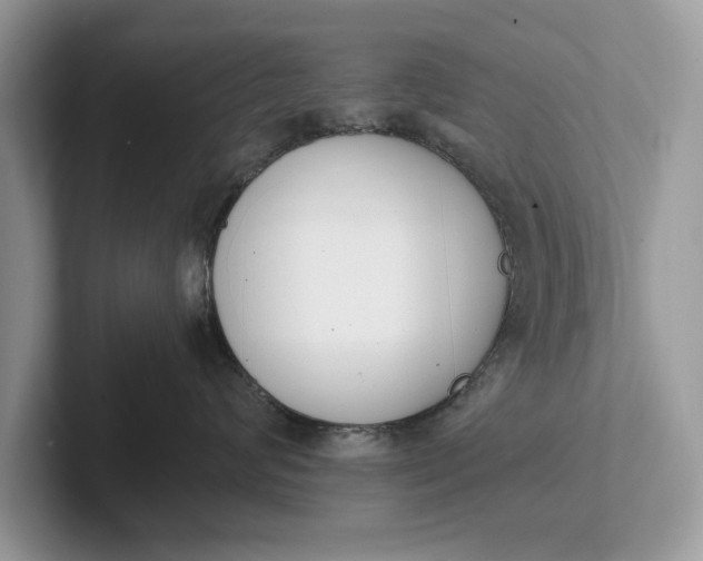 X0000101460624200807211334