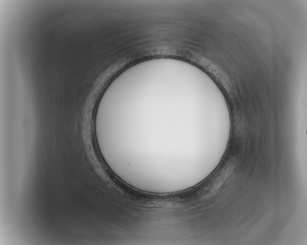 X0000101460625200807211334