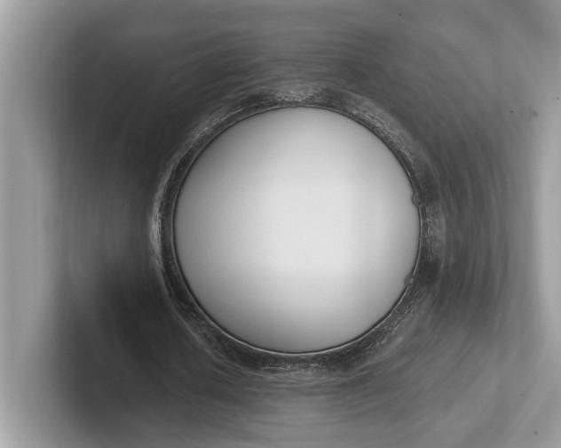 X0000101460626200807211334