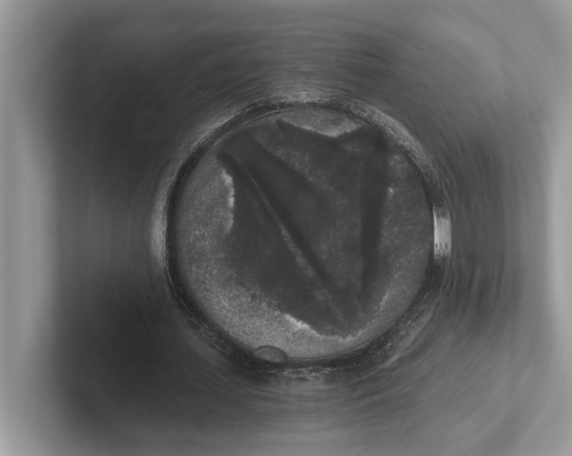 X0000101460627200807211334