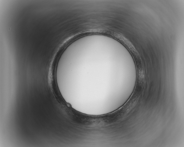 X0000101460628200807211334