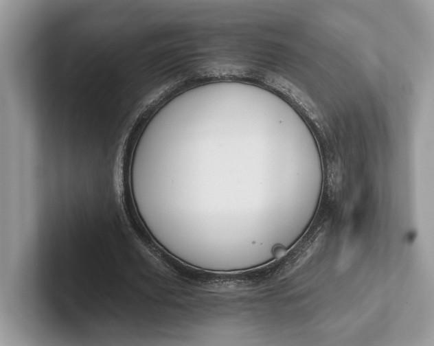 X0000101460629200807211334