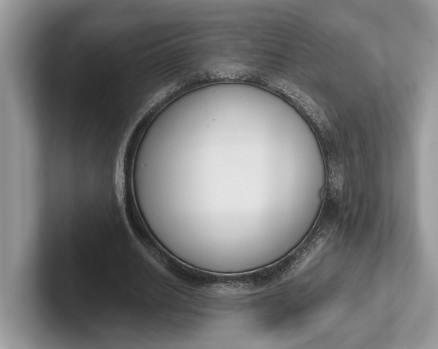 X0000101460630200807211334