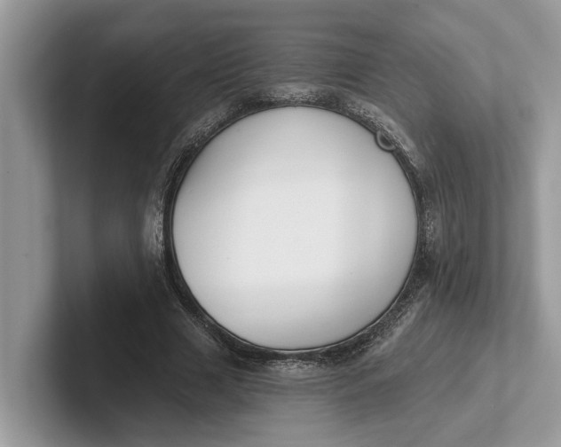 X0000101460633200807211334