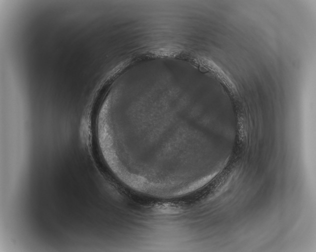 X0000101460634200807211334