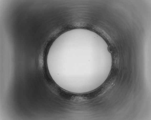 X0000101460635200807211334