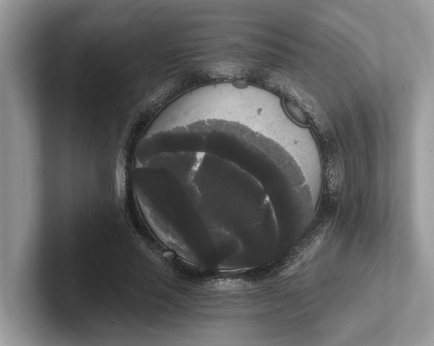 X0000101460637200807211334