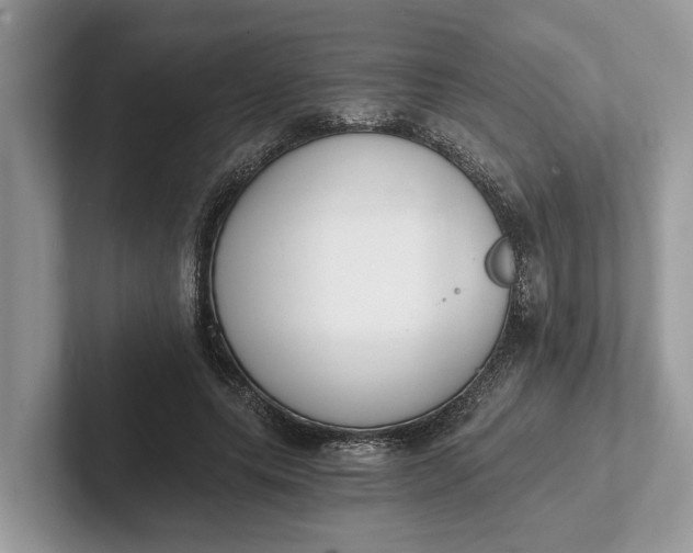 X0000101460639200807211334