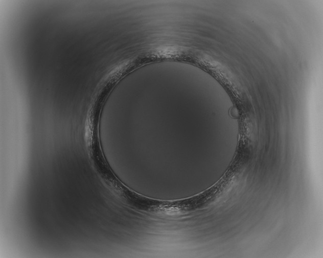 X0000101460640200807211334