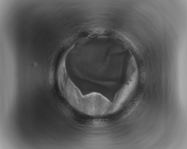 X0000101460641200807211334