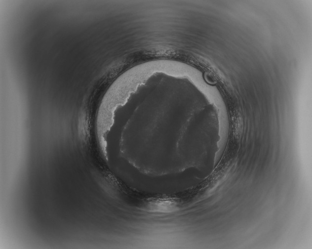 X0000101460643200807211334