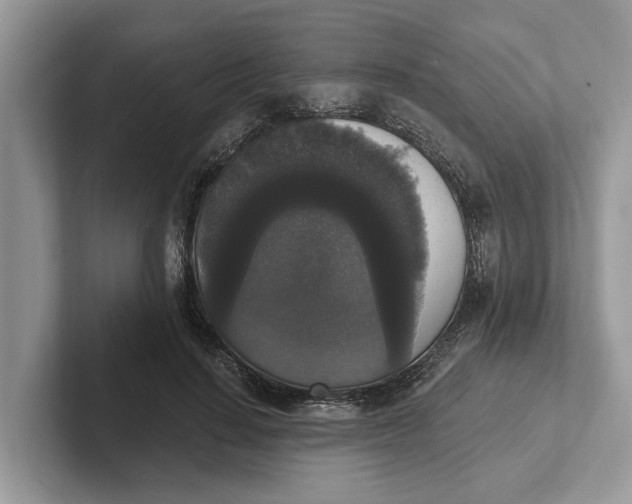 X0000101460644200807211334