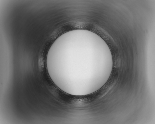 X0000101460646200807211334