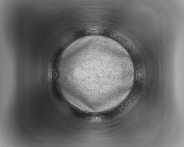 X0000101460647200807211334