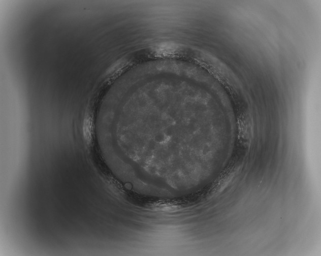 X0000101460648200807211334