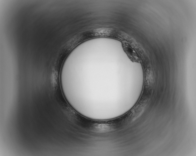 X0000101460649200807211334