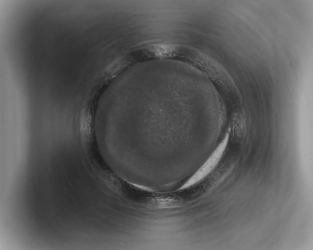 X0000101460650200807211334