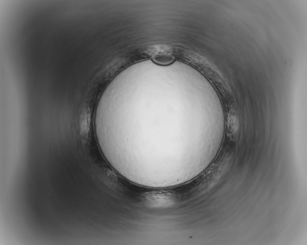 X0000101460652200807211334