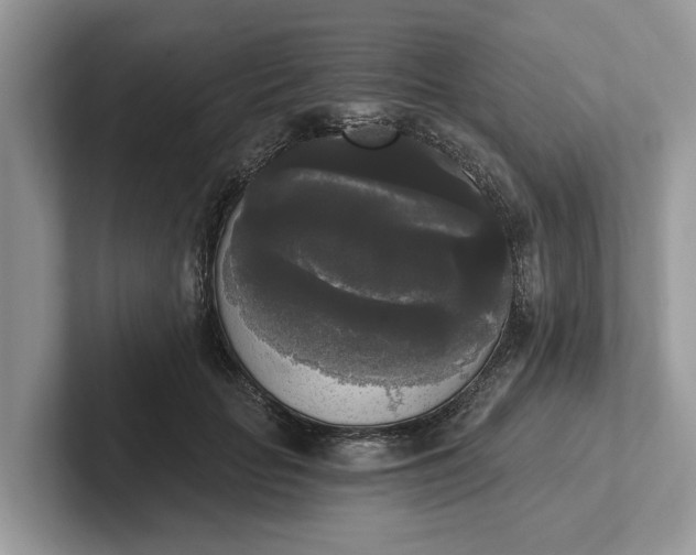 X0000101460653200807211334