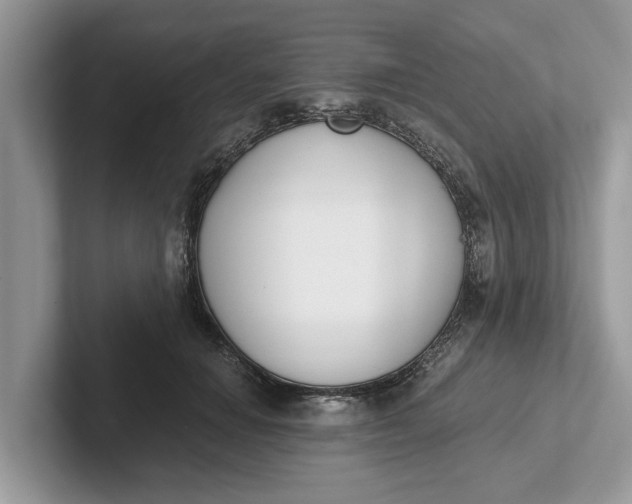 X0000101460654200807211334