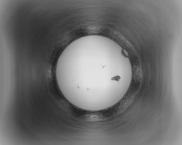 X0000101460655200807211334