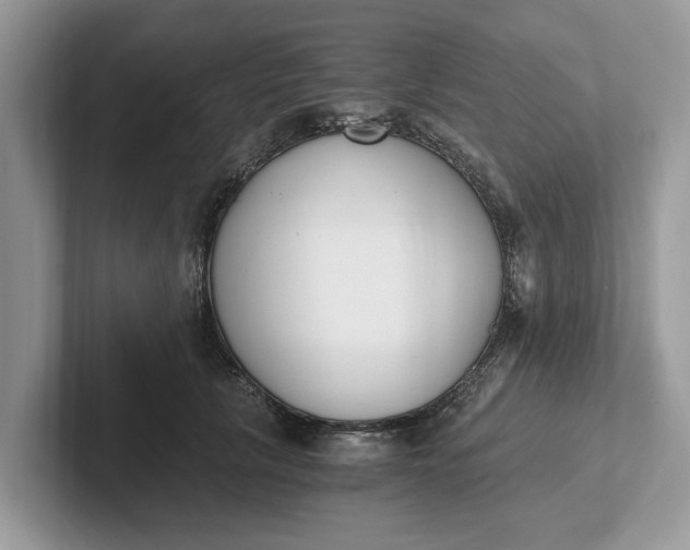 X0000101460657200807211334