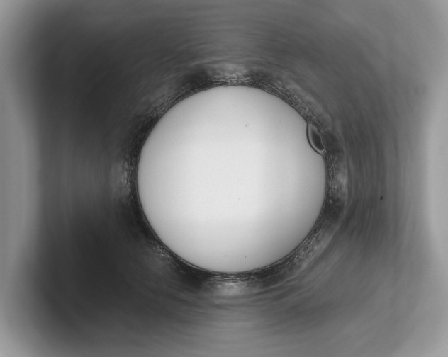 X0000101460658200807211334