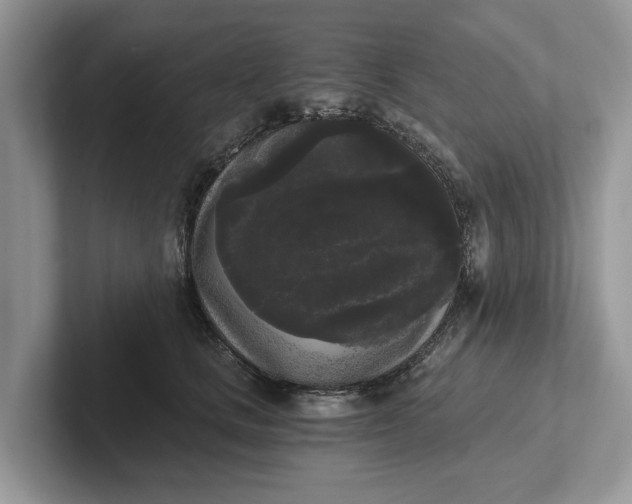 X0000101460661200807211334