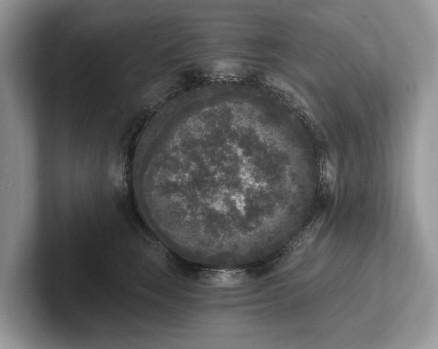 X0000101460663200807211334